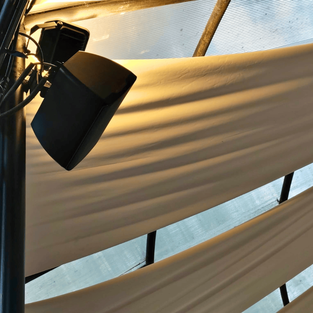 A New Era of Sound in a Legendary Venue