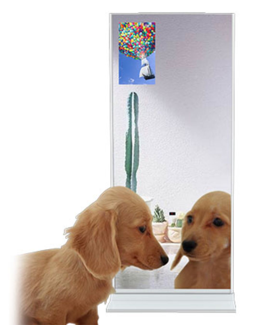 MI220 – A Mirror That Hides a Digital Display